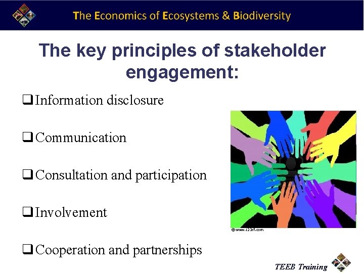 The key principles of stakeholder engagement: q Information disclosure q Communication q Consultation and