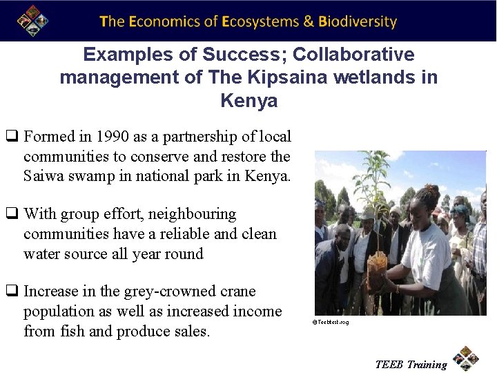 Examples of Success; Collaborative management of The Kipsaina wetlands in Kenya q Formed in