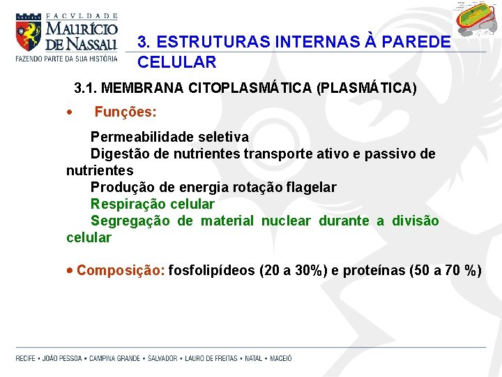 3. ESTRUTURAS INTERNAS À PAREDE CELULAR 3. 1. MEMBRANA CITOPLASMÁTICA (PLASMÁTICA) · Funções: Permeabilidade