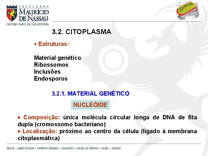 3. 2. CITOPLASMA · Estruturas: Material genético Ribossomos Inclusões Endosporos 3. 2. 1. MATERIAL