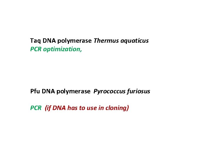 Taq DNA polymerase Thermus aquaticus PCR optimization, Pfu DNA polymerase Pyrococcus furiosus PCR (if