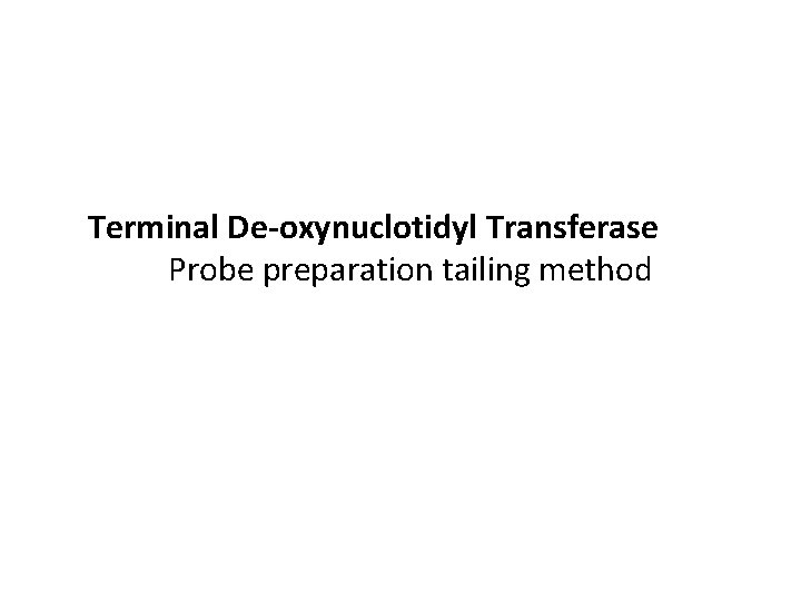 Terminal De-oxynuclotidyl Transferase Probe preparation tailing method 