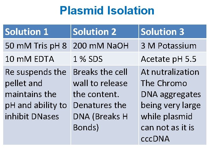 Plasmid Isolation Solution 1 Solution 2 Solution 3 50 m. M Tris p. H