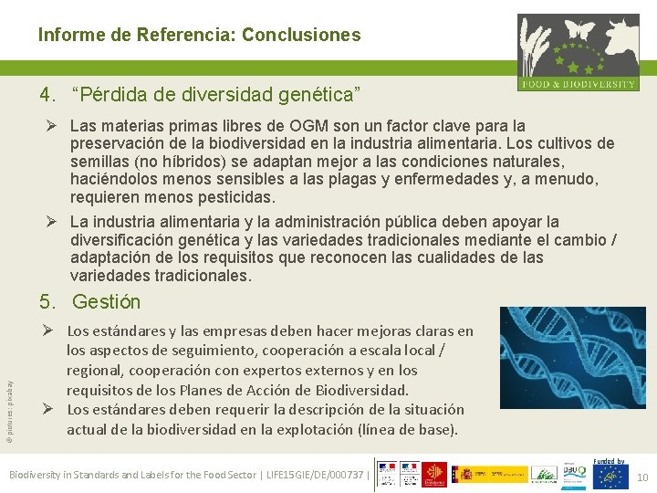 Informe de Referencia: Conclusiones 4. “Pérdida de diversidad genética” Ø Las materias primas libres