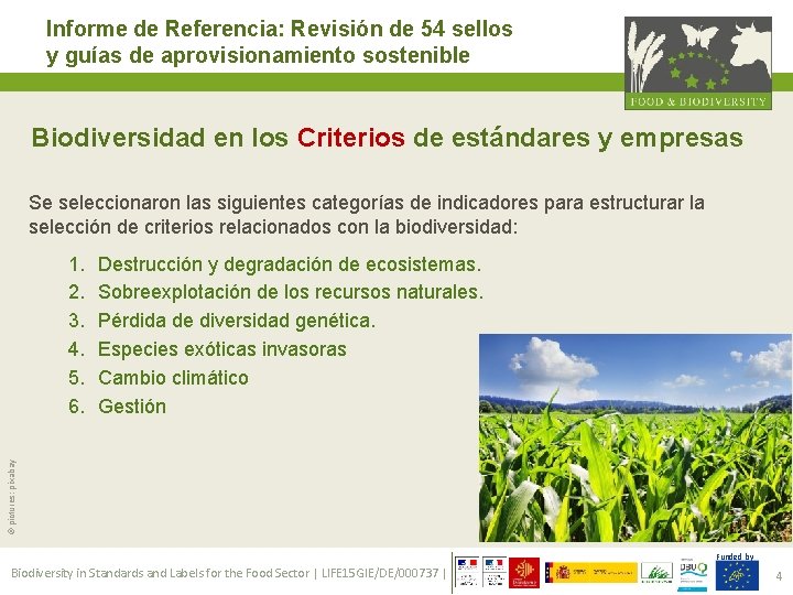Informe de Referencia: Revisión de 54 sellos y guías de aprovisionamiento sostenible Biodiversidad en