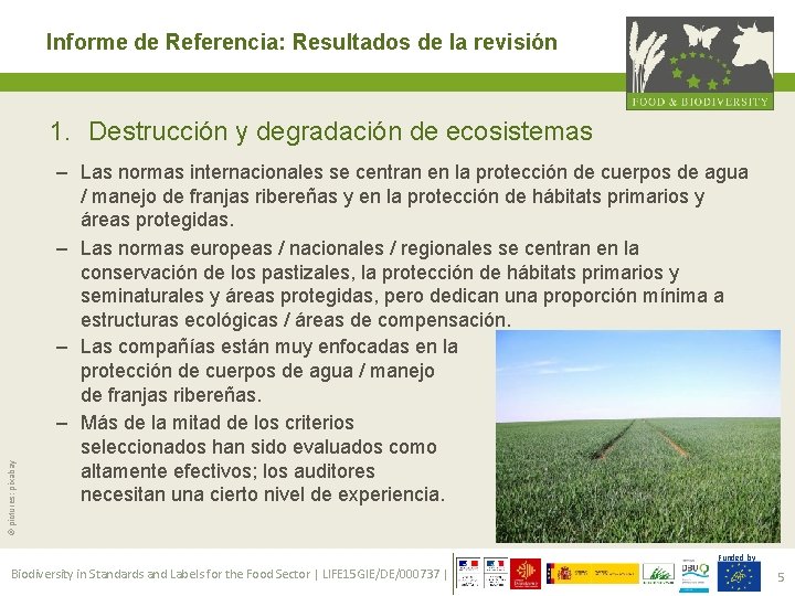 Informe de Referencia: Resultados de la revisión © pictures: pixabay 1. Destrucción y degradación