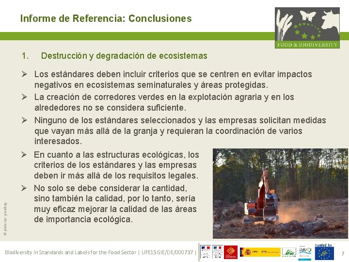 Informe de Referencia: Conclusiones © pictures: pixabay 1. Destrucción y degradación de ecosistemas Ø