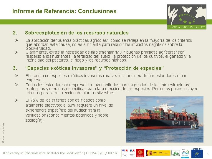 Informe de Referencia: Conclusiones 2. Ø Ø 3. Ø Ø La aplicación de “buenas