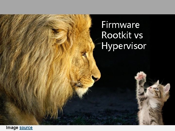 Firmware Rootkit vs Hypervisor Image source 