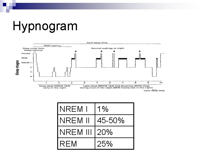 Hypnogram NREM III REM 1% 45 -50% 25% 