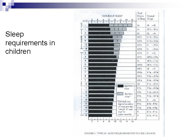 Sleep requirements in children 