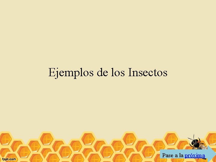 Ejemplos de los Insectos Pase a la próxima 