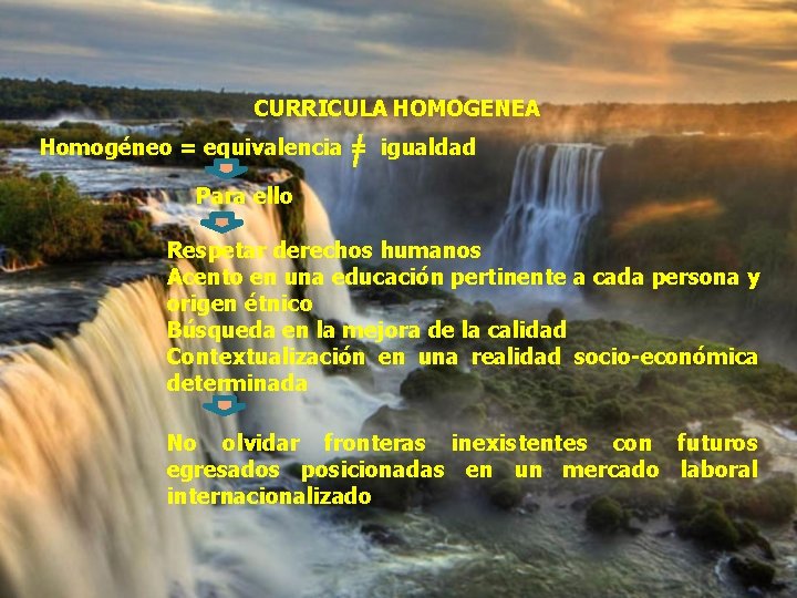 CURRICULA HOMOGENEA Homogéneo = equivalencia = igualdad Para ello Respetar derechos humanos Acento en