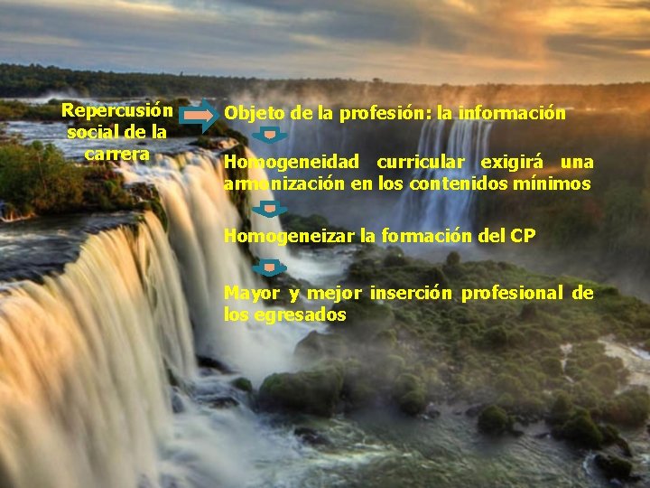 Repercusión social de la carrera Objeto de la profesión: la información Homogeneidad curricular exigirá