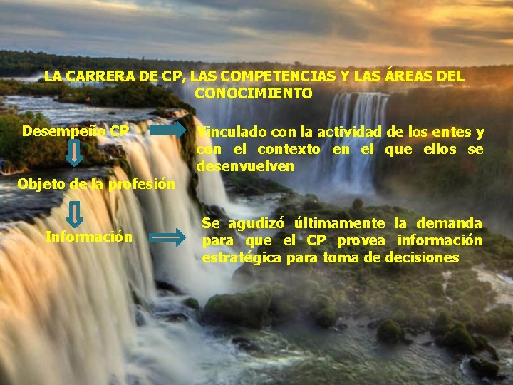 LA CARRERA DE CP, LAS COMPETENCIAS Y LAS ÁREAS DEL CONOCIMIENTO Desempeño CP Vinculado