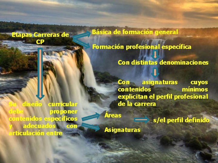 Etapas Carreras de CP Básica de formación general Formación profesional específica Con distintas denominaciones