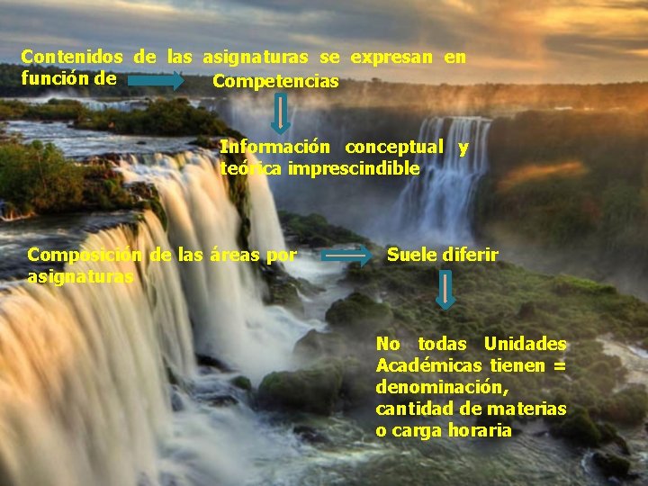 Contenidos de las asignaturas se expresan en función de Competencias Información conceptual y teórica