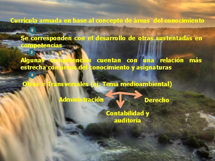 Currícula armada en base al concepto de áreas del conocimiento Se corresponden con el