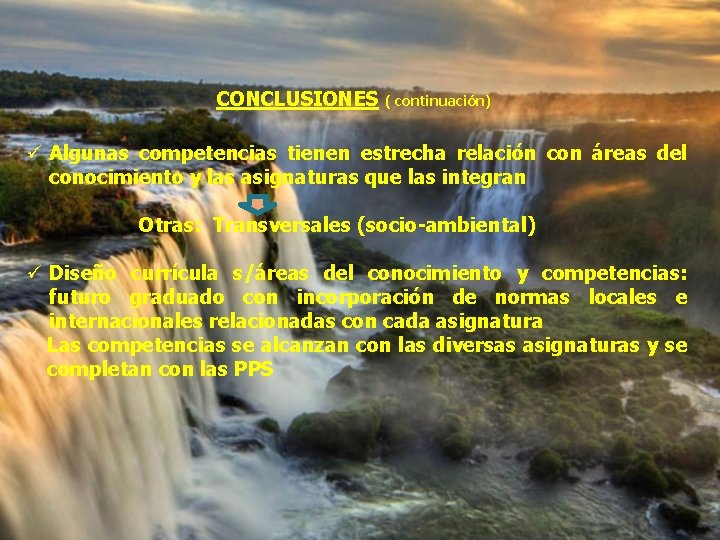 CONCLUSIONES ( continuación) ü Algunas competencias tienen estrecha relación con áreas del conocimiento y