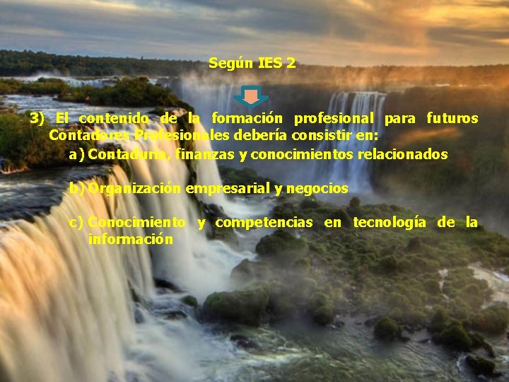 Según IES 2 3) El contenido de la formación profesional para futuros Contadores Profesionales