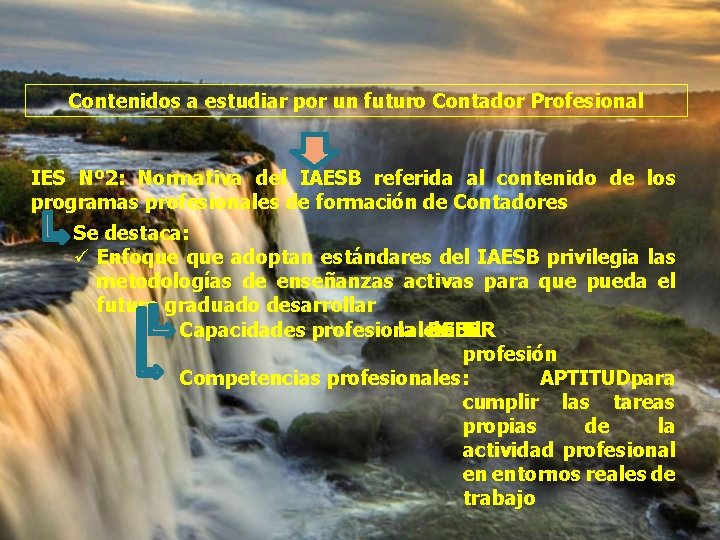 Contenidos a estudiar por un futuro Contador Profesional IES Nº 2: Normativa del IAESB