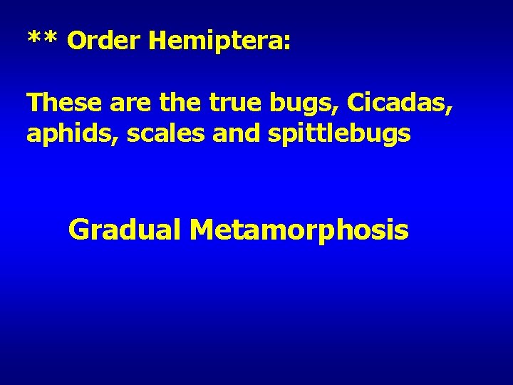 ** Order Hemiptera: These are the true bugs, Cicadas, aphids, scales and spittlebugs Gradual