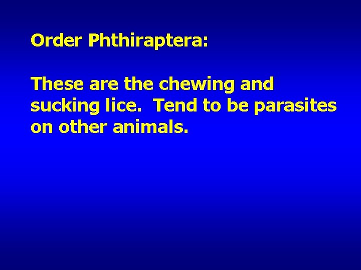 Order Phthiraptera: These are the chewing and sucking lice. Tend to be parasites on