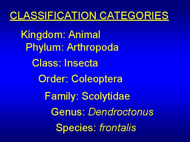 CLASSIFICATION CATEGORIES Kingdom: Animal Phylum: Arthropoda Class: Insecta Order: Coleoptera Family: Scolytidae Genus: Dendroctonus