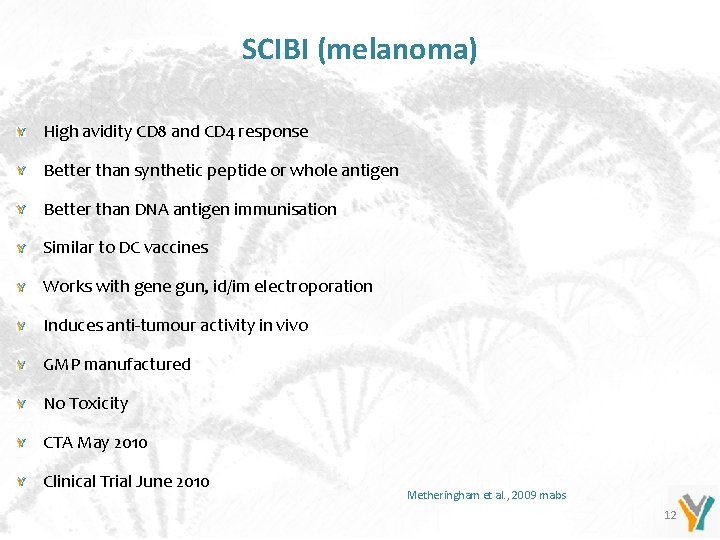 SCIBI (melanoma) High avidity CD 8 and CD 4 response Better than synthetic peptide