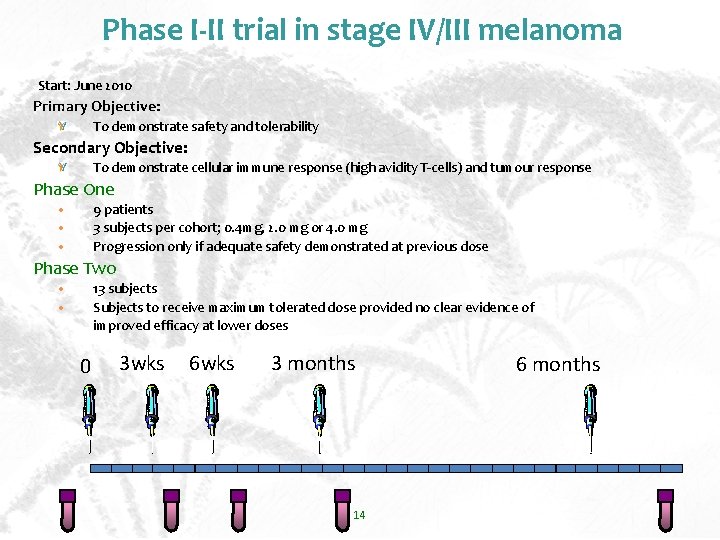 Phase I-II trial in stage IV/III melanoma Start: June 2010 Primary Objective: To demonstrate