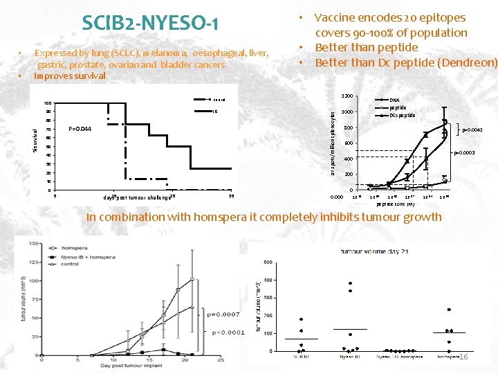 SCIB 2 -NYESO-1 1200 conrol 100 IB 90 av. spots/million splenocytes • Expressed by