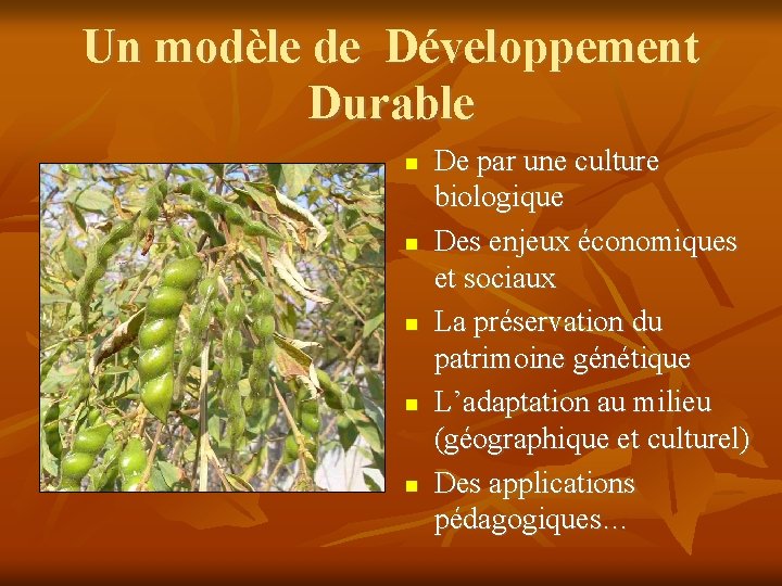 Un modèle de Développement Durable De par une culture biologique Des enjeux économiques et