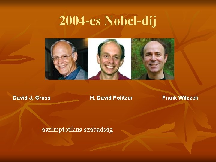 2004 -es Nobel-díj David J. Gross H. David Politzer aszimptotikus szabadság Frank Wilczek 