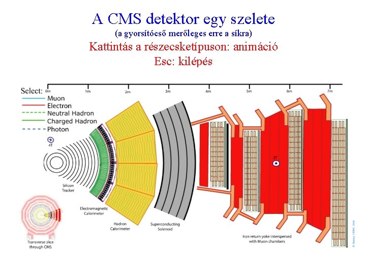 A CMS detektor egy szelete (a gyorsítócső merőleges erre a síkra) Kattintás a részecsketípuson: