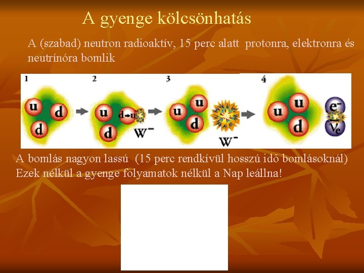 A gyenge kölcsönhatás A (szabad) neutron radioaktív, 15 perc alatt protonra, elektronra és neutrínóra