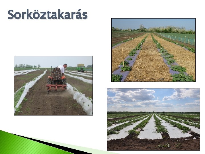 Sorköztakarás 