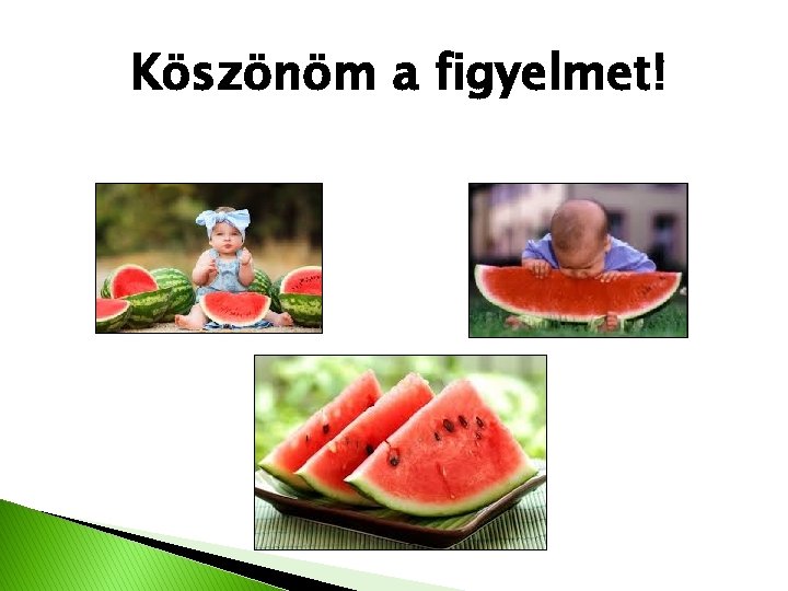 Köszönöm a figyelmet! 