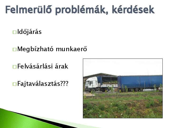 Felmerülő problémák, kérdések � Időjárás � Megbízható munkaerő � Felvásárlási árak � Fajtaválasztás? ?