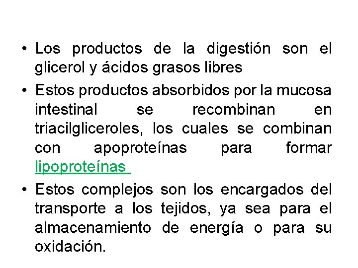  • Los productos de la digestión son el glicerol y ácidos grasos libres