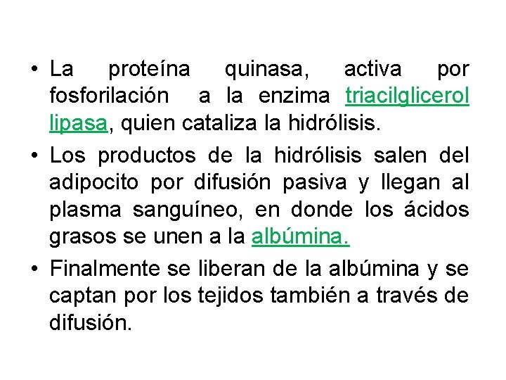  • La proteína quinasa, activa por fosforilación a la enzima triacilglicerol lipasa, quien