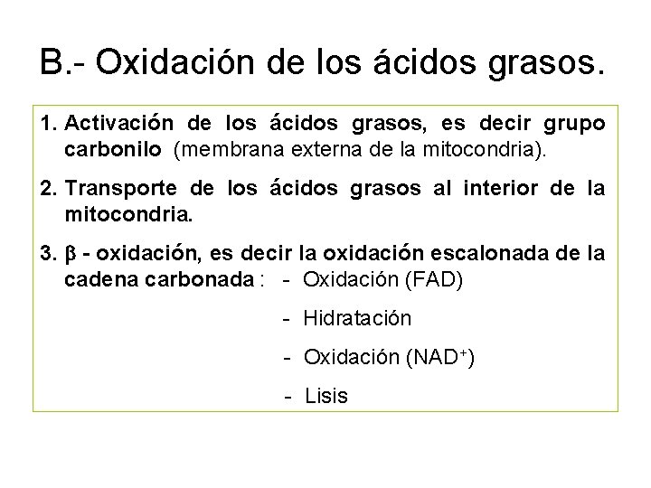 B. - Oxidación de los ácidos grasos. 1. Activación de los ácidos grasos, es