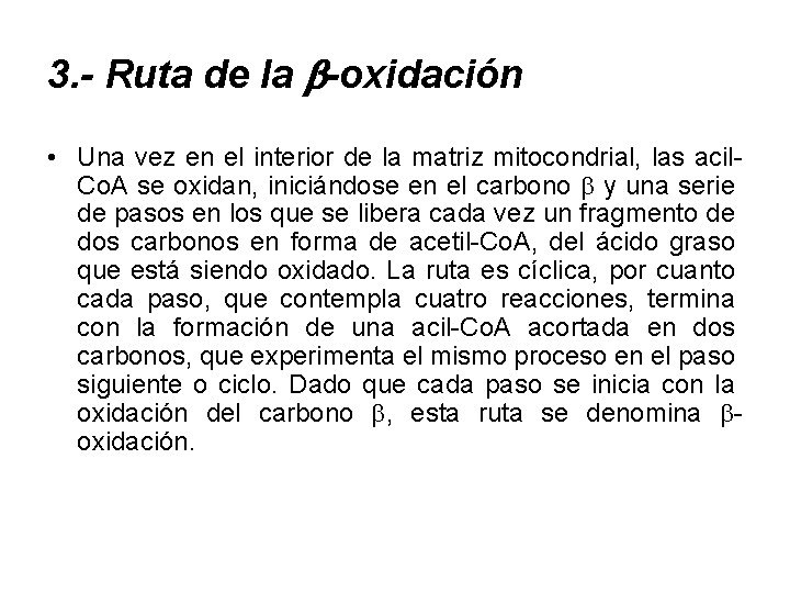 3. - Ruta de la -oxidación • Una vez en el interior de la