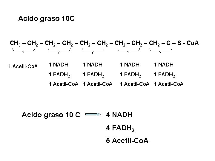 Acido graso 10 C CH 3 – CH 2 – CH 2 – C