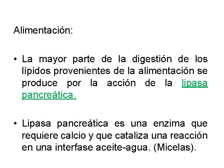 Alimentación: • La mayor parte de la digestión de los lípidos provenientes de la