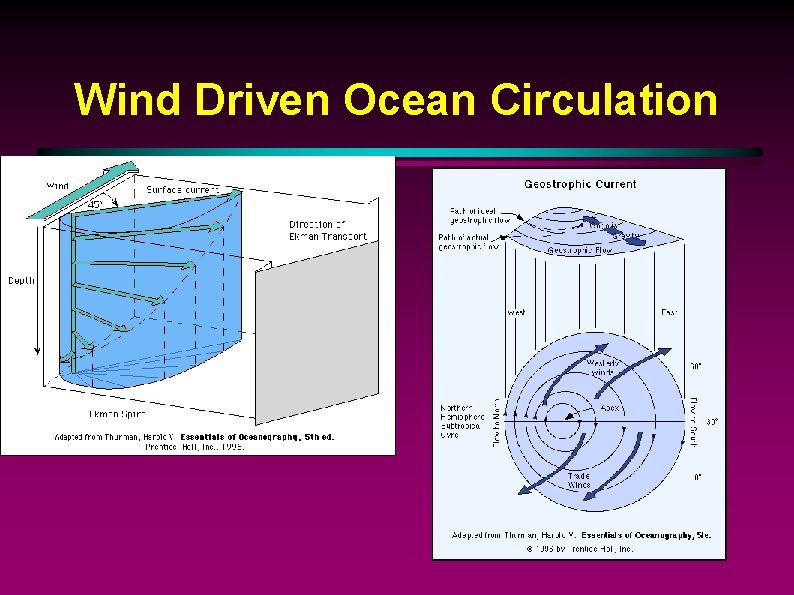 Wind Driven Ocean Circulation 