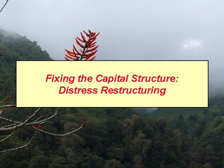 Fixing the Capital Structure: Distress Restructuring 