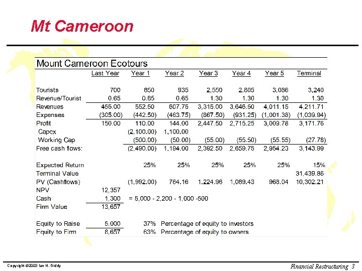 Mt Cameroon Copyright © 2003 Ian H. Giddy Financial Restructuring 3 