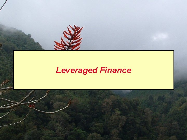 Leveraged Finance 