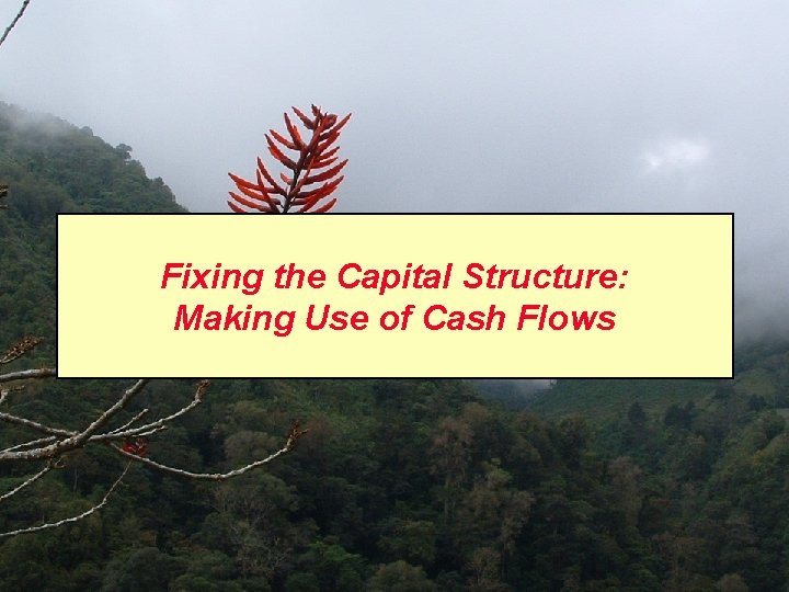 Fixing the Capital Structure: Making Use of Cash Flows 