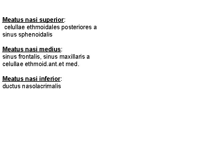 Meatus nasi superior: celullae ethmoidales posteriores a sinus sphenoidalis Meatus nasi medius: sinus frontalis,